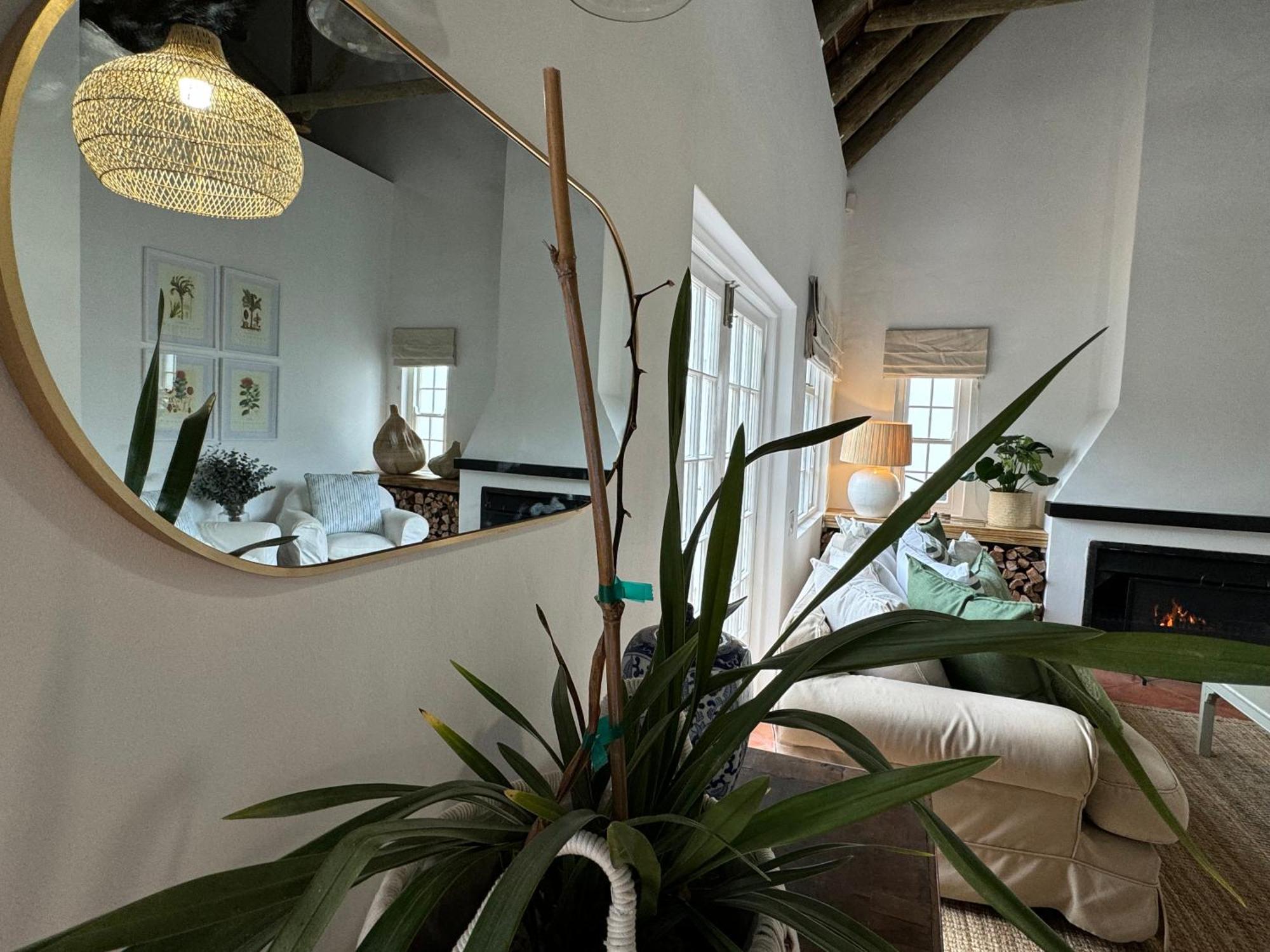 Three Bedroom Oxford Cottage Franschhoek Ngoại thất bức ảnh